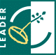 leader